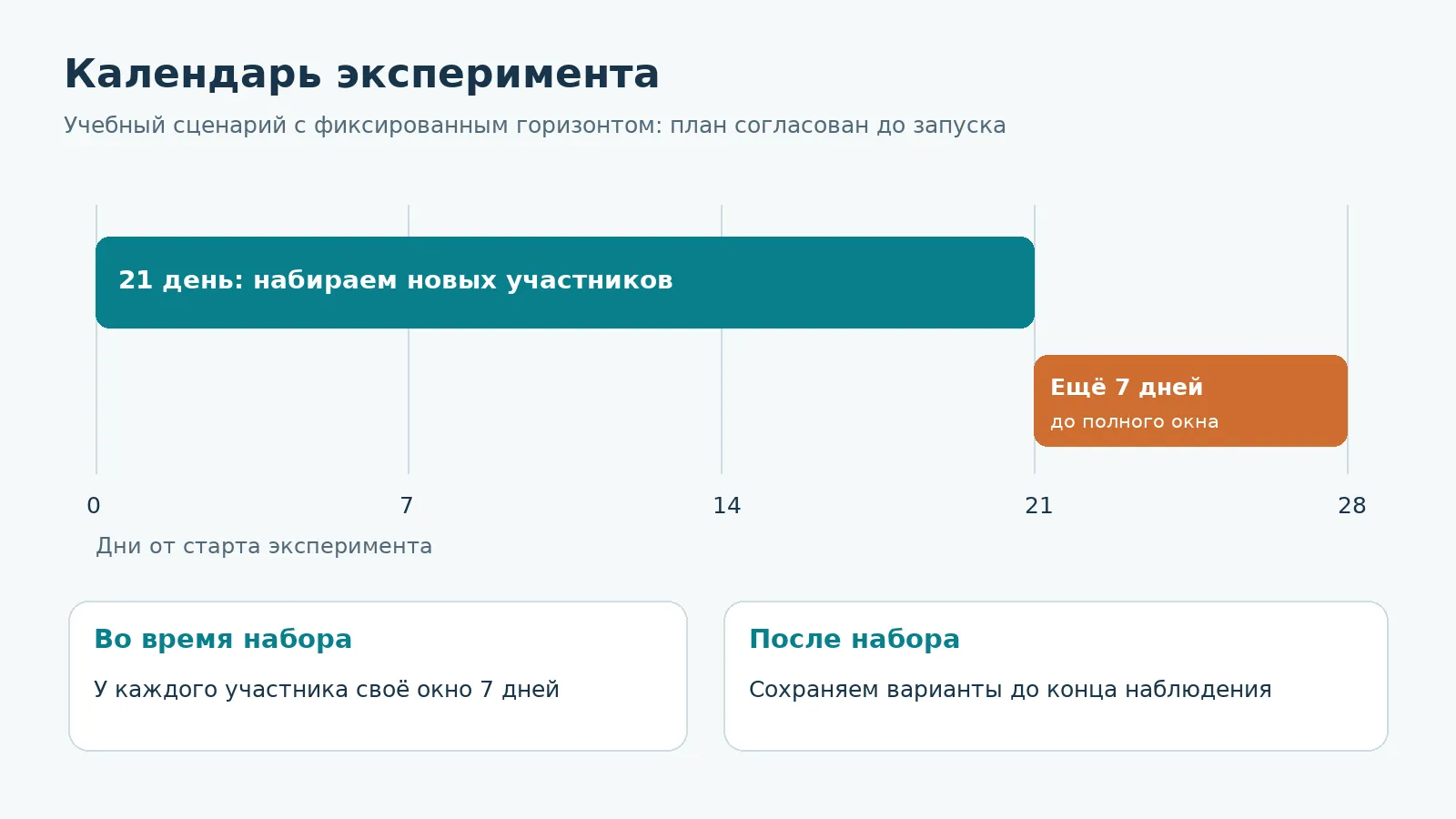 Календарь: 21 день набора участников и ещё 7 дней до завершения наблюдения.