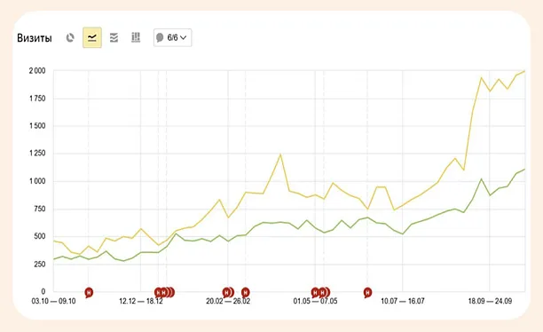 SEO для интернет-магазина премиальной одежды FASHIONSTORE.RU — рост органического трафика в 3 раза