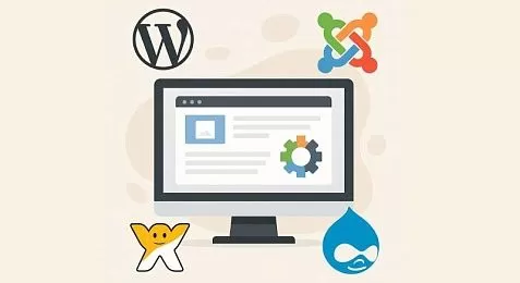Какую CMS выбрать для сайта в 2025 году: обзор лучших решений